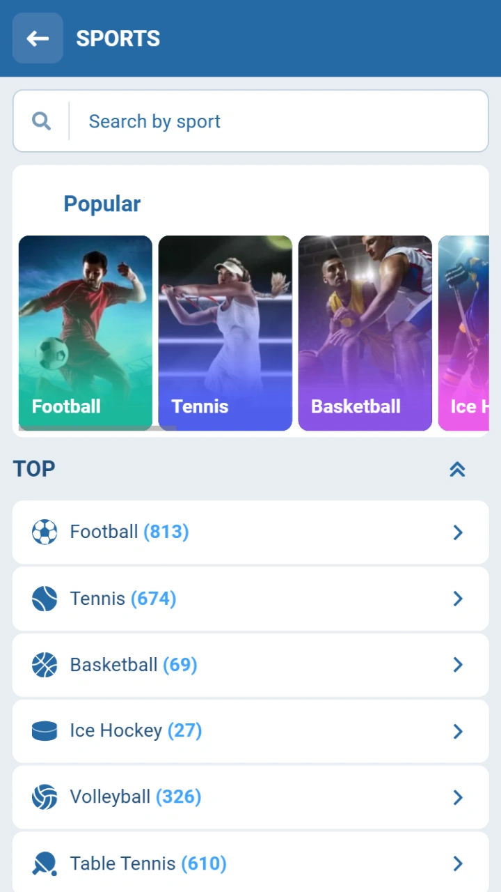 Choose sport and tournament in the 1xBet sport section.